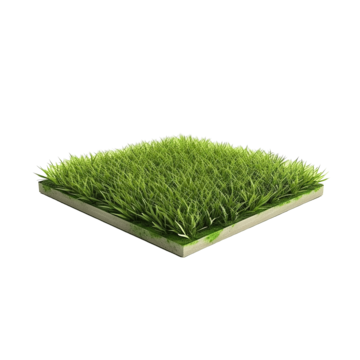 pngtree-green-grass-floor-mockup-png-image_11588070